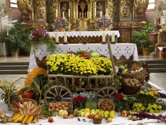 Kirche innen Erntedankaltar