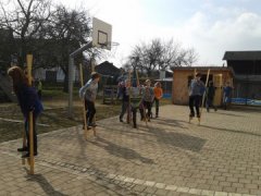 Frühling kommt Frühling kommt