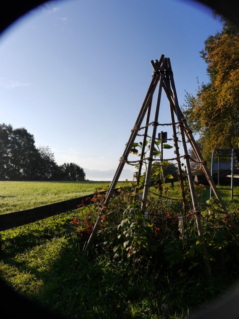 Grossansicht in neuem Fenster: Beerentipi Schule Höslwang