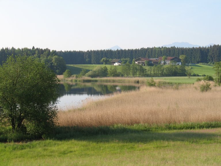 Pelhamer See