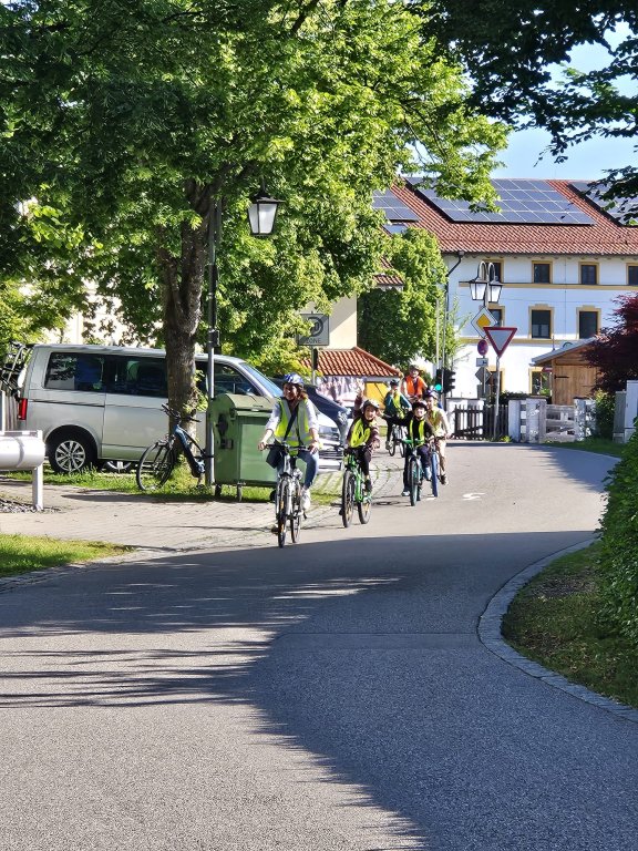 Rad26-1